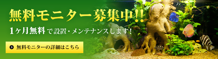 レンタルアクアリウム 無料モニター募集中!