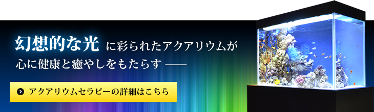 心に健康と癒やしをもたらすアクアリウムセラピー